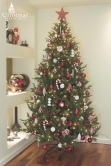 The Vivace Pine Tree (4ft-8ft)