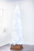 The Pre-lit 7ft White Italian Pencilimo Tree