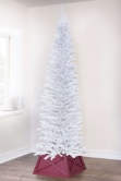 The White Italian Pencilimo Tree