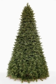 Outdoor/Indoor Giant Woodland Pine Frame Tree (13ft-40ft)