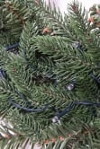 The Vivace Pine Wreath (50cm-60cm)