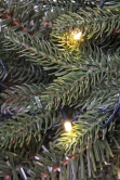 The Pre-lit Vivace Pine Wreath (50cm-60cm)