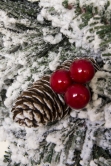 The Pre-lit Snowy Alpine Wreath (45cm-60cm)