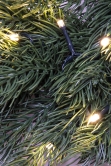 The 50cm Pre-lit Vivente Fir Wreath