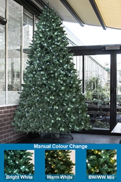 The 12ft Ultra Devonshire Fir Pre-lit with Warm White/White Colour change LEDs