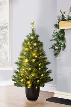 The 3ft Pre-lit Majestic Dew Pine Potted Tree (Indoor/Outdoor)