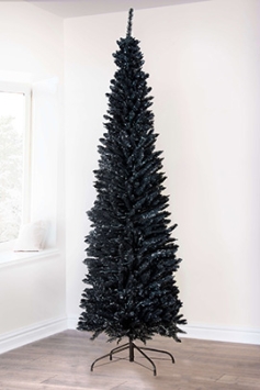 The 8ft Black Italian Pencilimo Tree