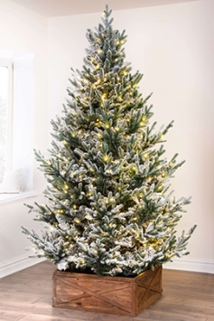 The 8ft Pre-lit Frosted Ultra Mountain Pine