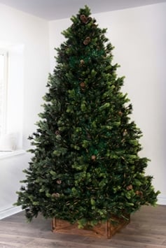 The Foresta Pine Tree (6ft-7ft)
