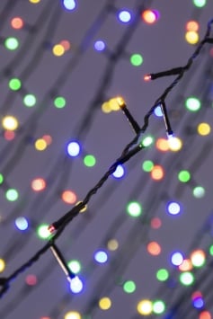 Christmas Tree World 480 Multi function LED Lights