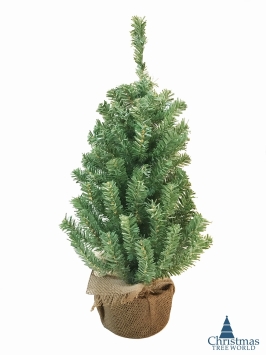 The 90cm Potted Mountain Pine Desktop Tree