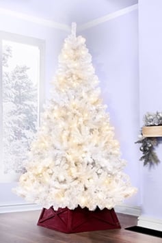 The 4ft Pre-lit Bianca Pine Tree with Warm White Lights
