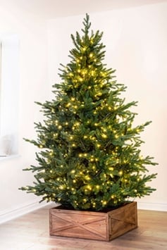 The 5ft Pre-lit Ultra Mountain Pine