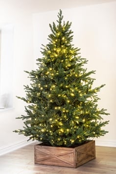 The 6ft Pre-lit Ultra Mountain Pine
