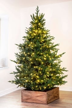 The 4ft Pre-lit Ultra Mountain Pine