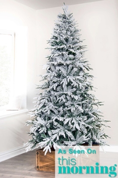 The Snowy Alpine Tree (4ft to 8ft)