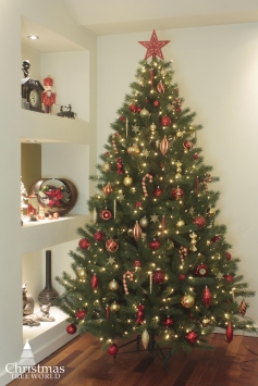 The 8ft Vivente Fir
