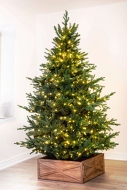 The 7ft Pre-lit Ultra Mountain Pine