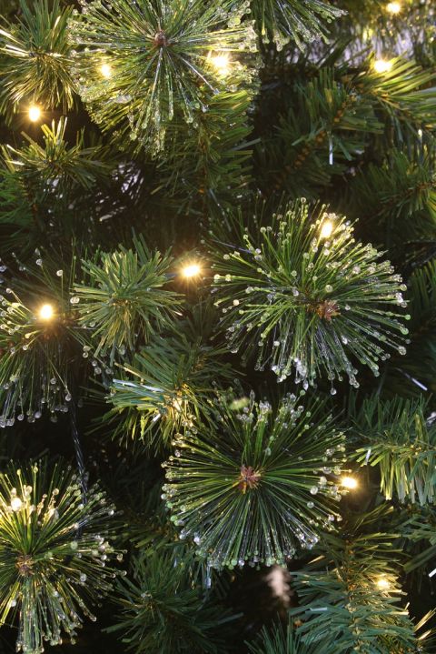 12ft Pre-lit Majestic Dew Pine Tree | Christmas Tree World