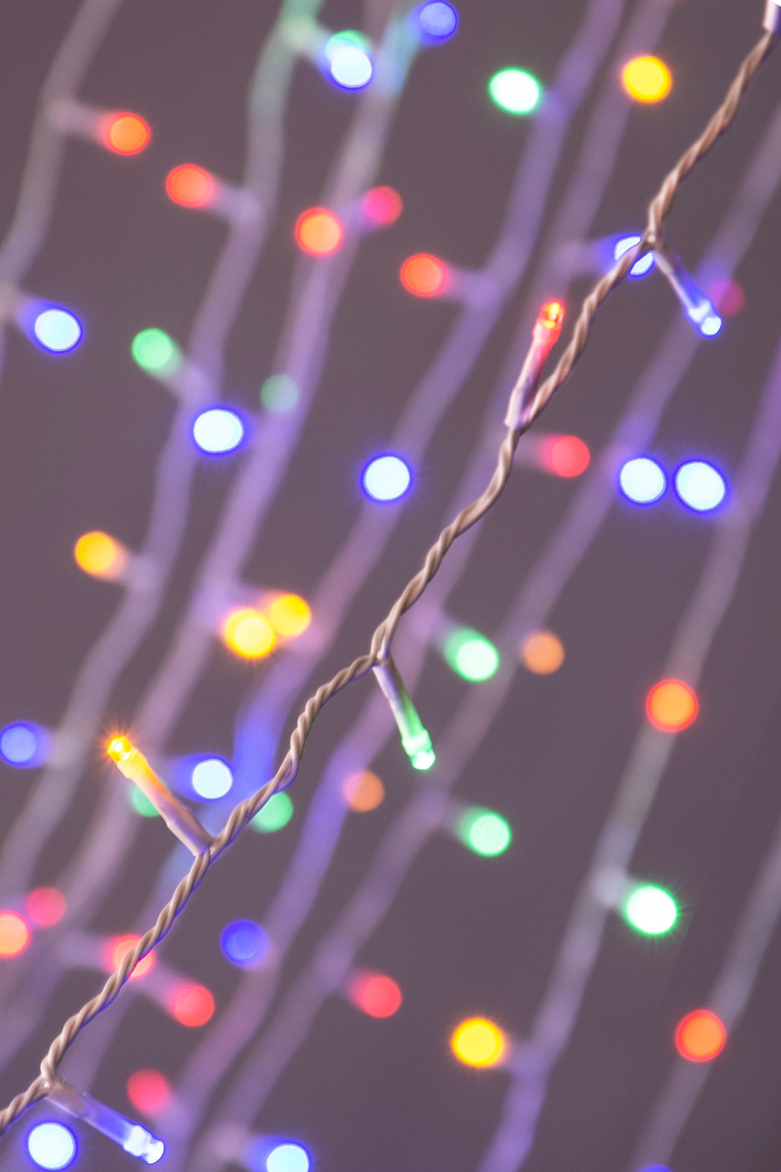 Pink christmas lights with white cord top