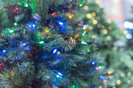 Fibre Optic vs Pre Lit Christmas Trees: What’s the Difference?