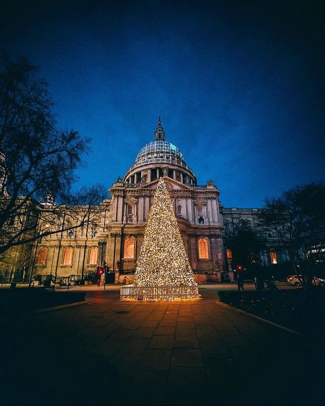 St Paul's Cathedral Christmas tree with lights