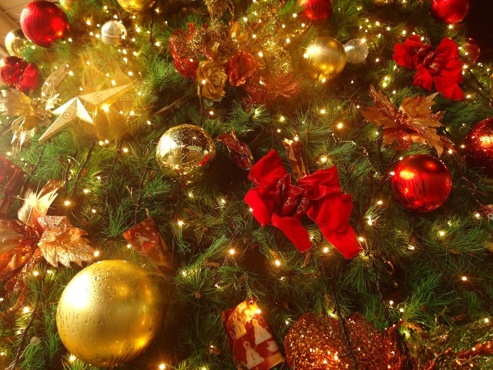 Close up of a Christmas tree with red and gold ornaments and twinkling lights
