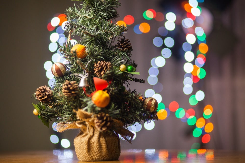 Potted mini Christmas tree with pinecones and colourful blurred lights in the background