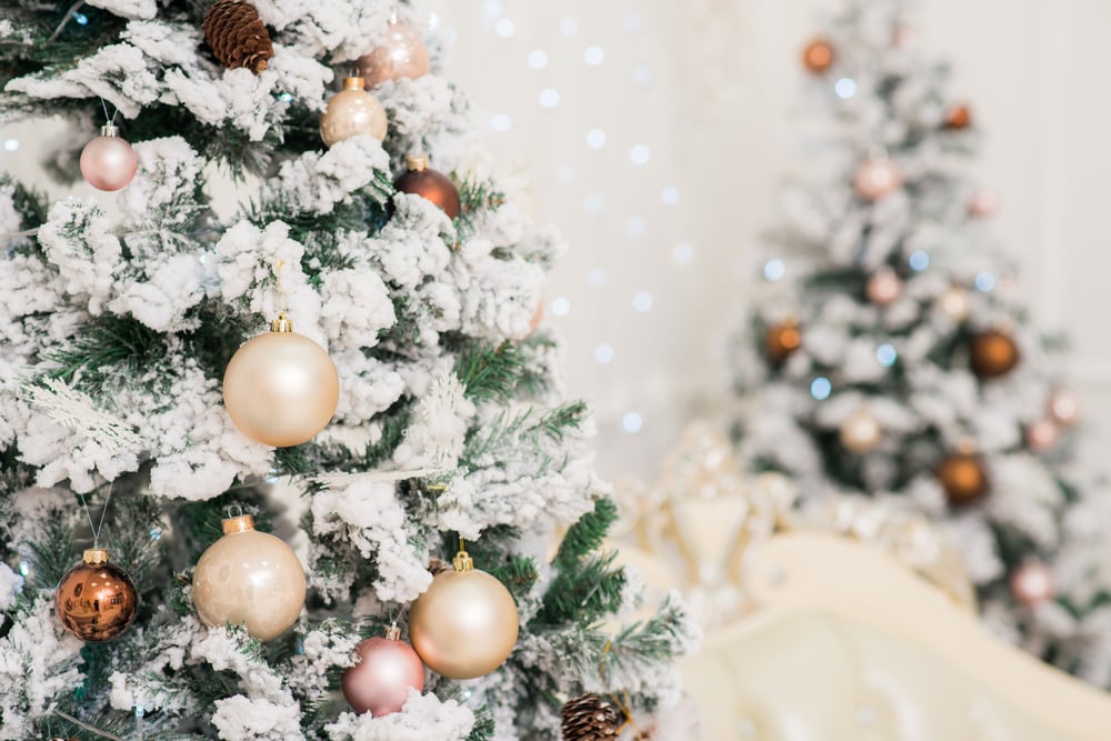 A clear close up view of a snowy Christmas tree on the left foreground and a blurry snowy tree on the right in the background