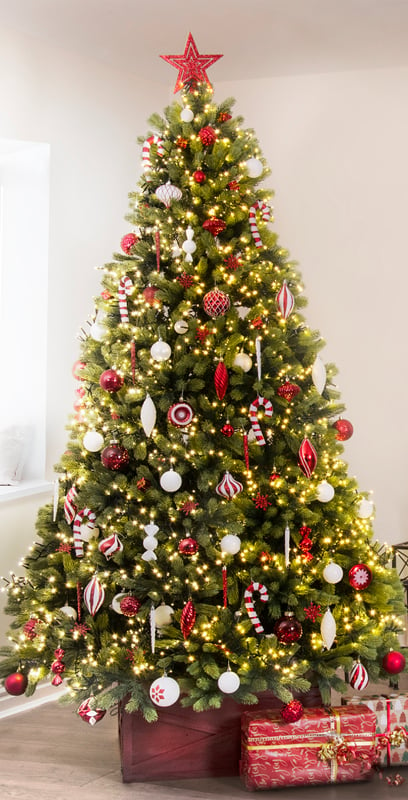 The UK's #1 Christmas Tree Shop