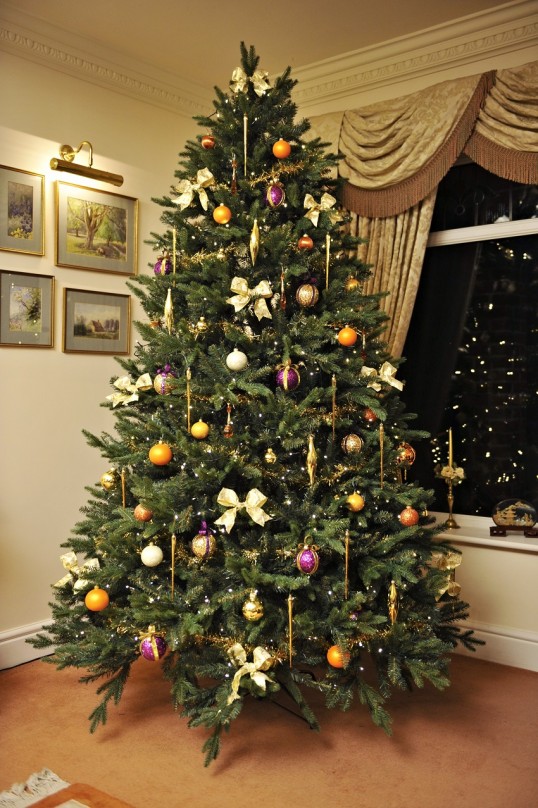 Artificial vs Real Christmas Trees: Which will save you the most money? | Christmas Tree World