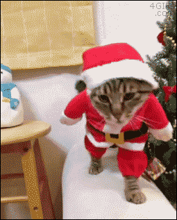 cat-christmas-gif