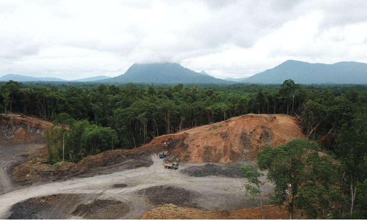 Borneo Deforestation Aerial