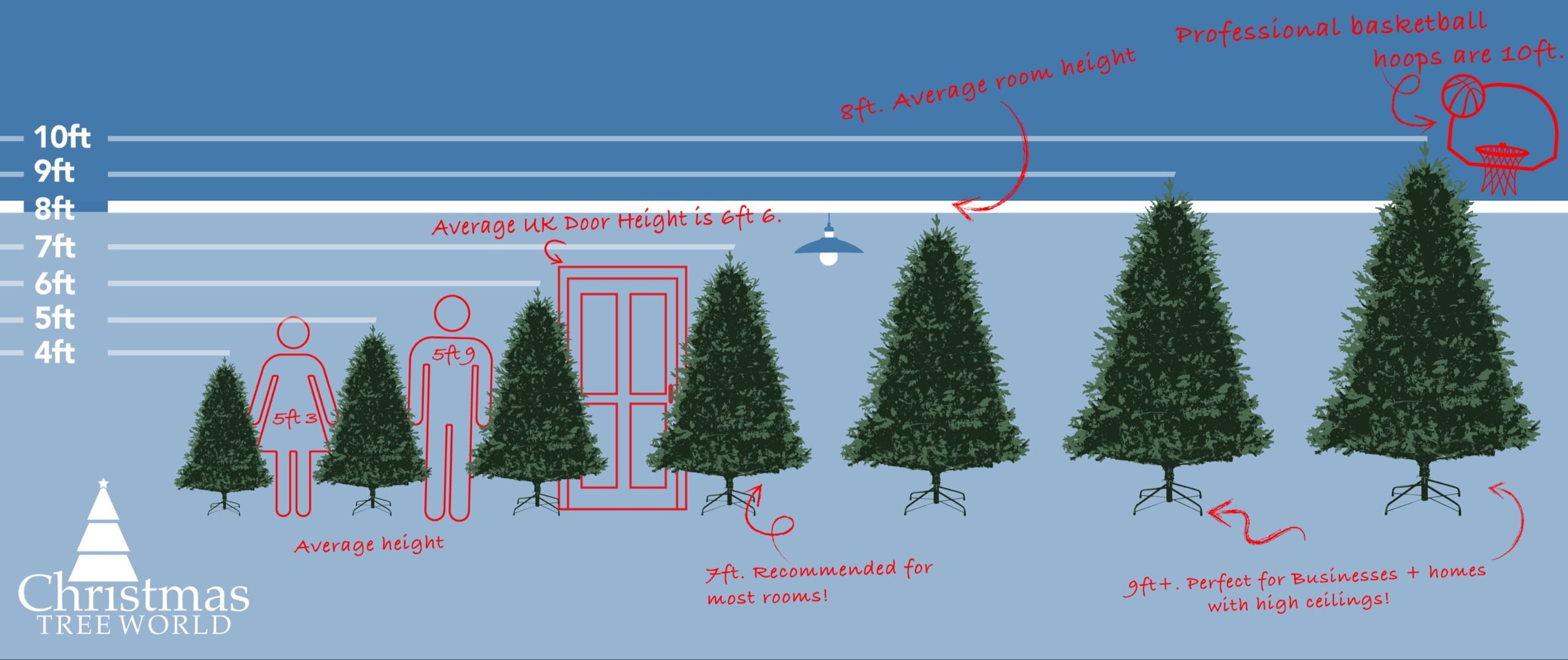 tree height guide