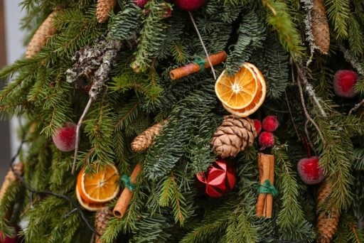 a close up of a christmas tree with pine cones, cinnamon sticks and dried oranges